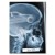 Plakat metalowy Rentgen BMW E36 Prezent