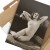 Poster metal Erotyka 1920 gift