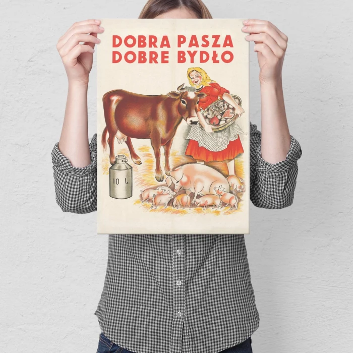 Plakat metalowy Dobra pasza dobre bydło Prezent