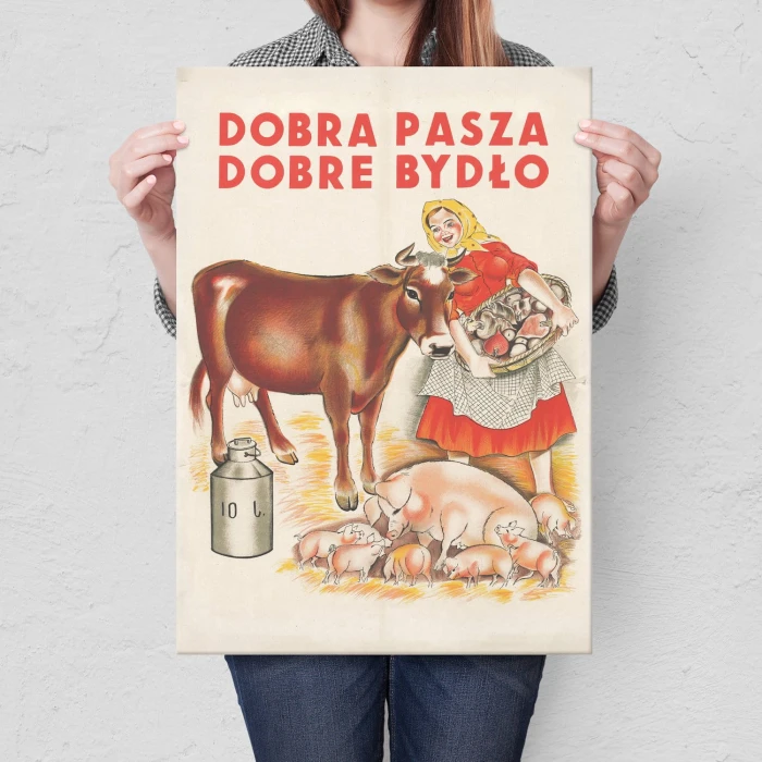 Poster metal Dobra pasza dobre bydło gift