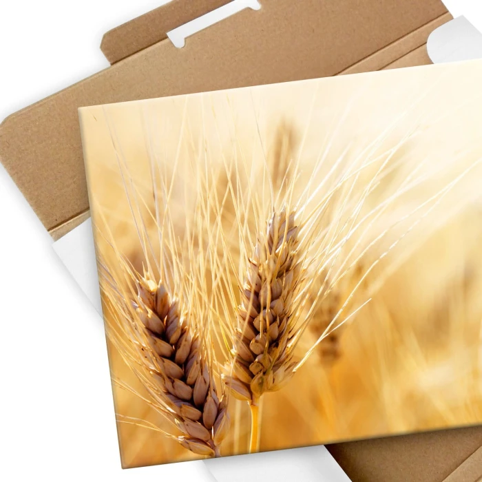 Plakat metalowy Kłosy zboża Prezent