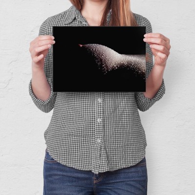 Poster metal Erotyk gift