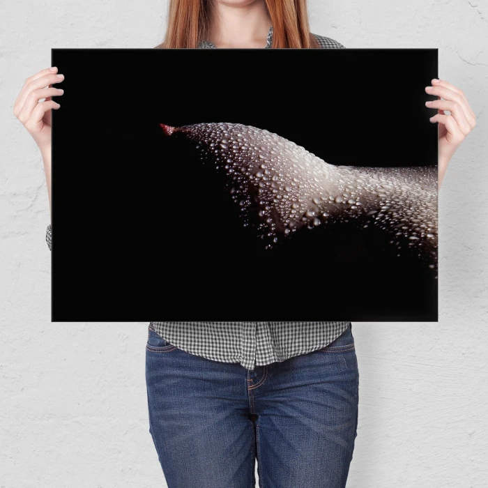 Poster metal Erotyk gift
