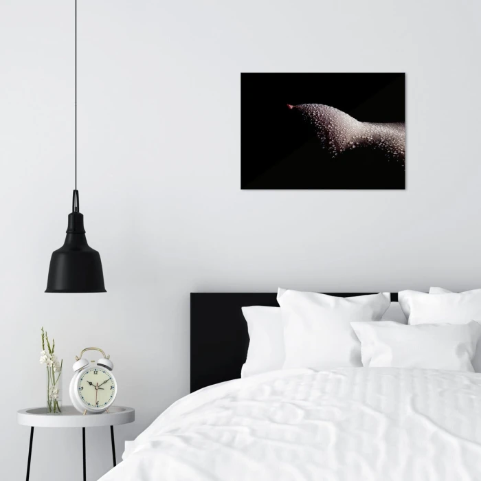 Poster metal Erotyk gift
