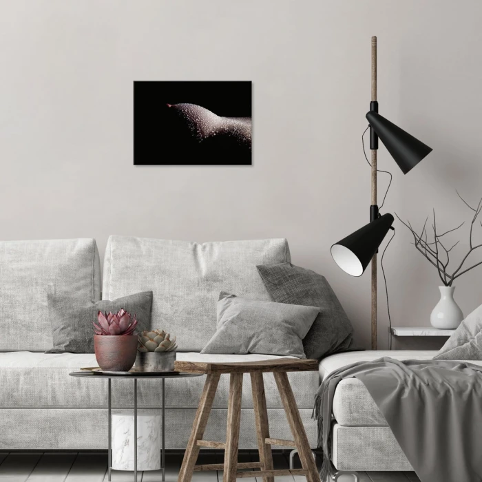 Poster metal Erotyk gift