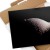 Poster metal Erotyk gift