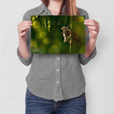 Plakat metalowy Ptak na drzewie Prezent