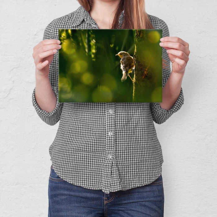 Plakat metalowy Ptak na drzewie Prezent