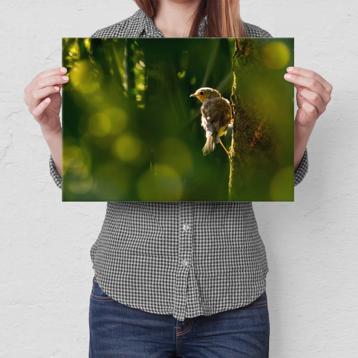 Plakat metalowy Ptak na drzewie Prezent