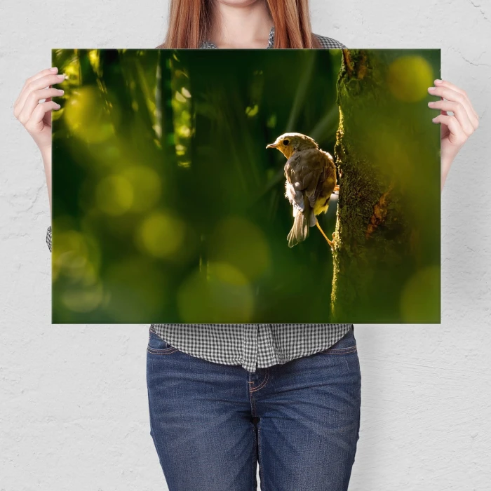 Plakat metalowy Ptak na drzewie Prezent