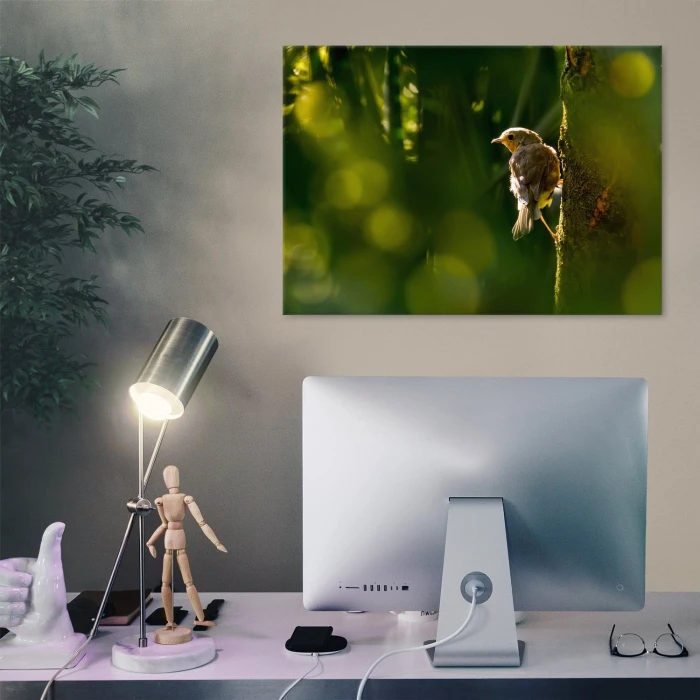 Poster metal Ptak na drzewie gift