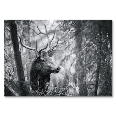 Poster metal Jeleń wśród drzew gift