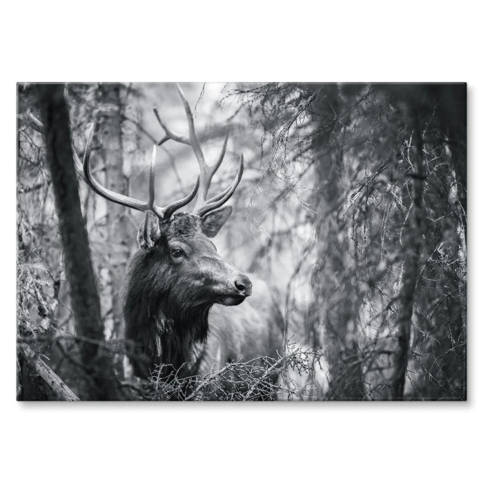 Poster metal Jeleń wśród drzew gift