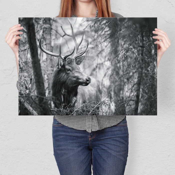 Plakat metalowy Jeleń wśród drzew Prezent