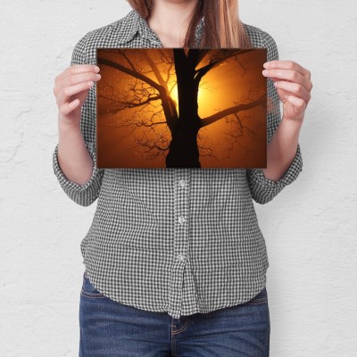 Poster metal Drzewo w promieniach gift