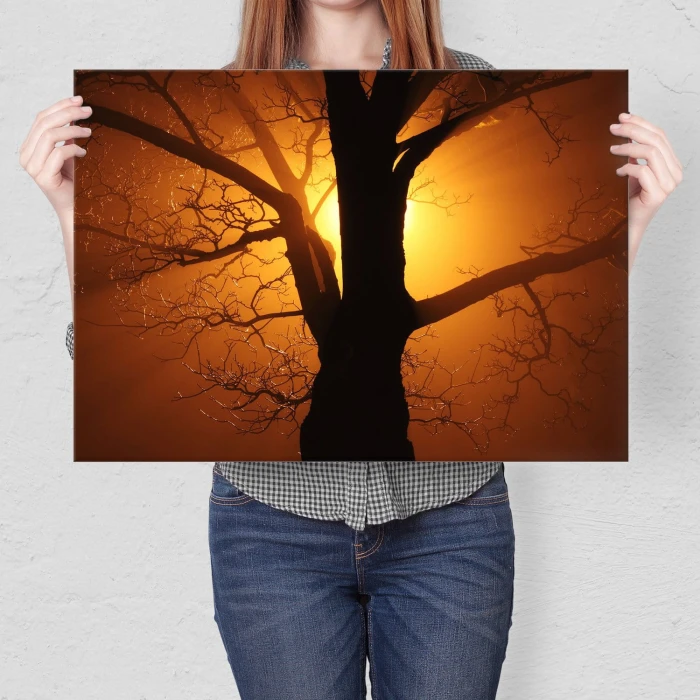Plakat metalowy Drzewo w promieniach Prezent