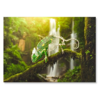 Plakat metalowy Kameleon Prezent