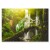 Poster metal Kameleon gift