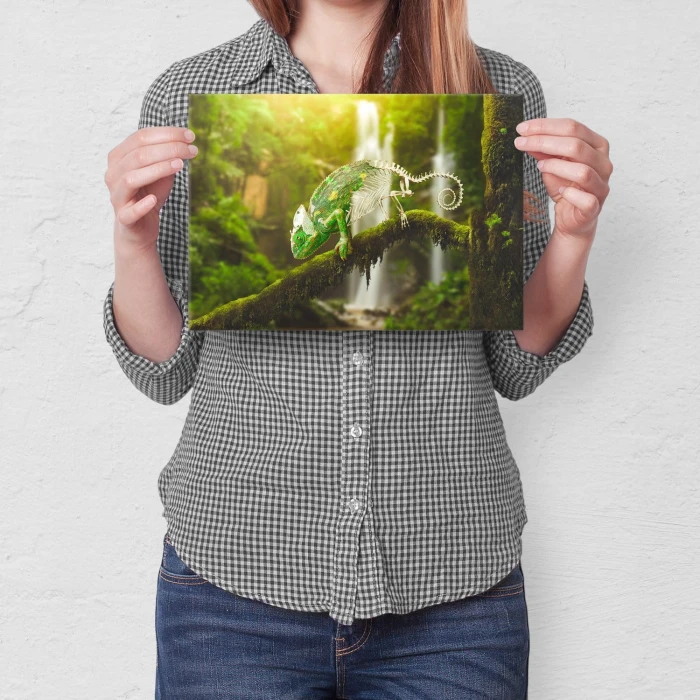 Plakat metalowy Kameleon Prezent