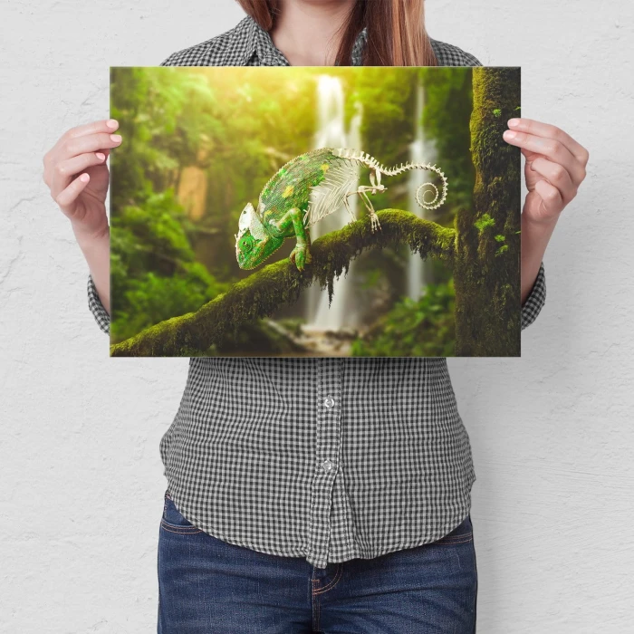 Plakat metalowy Kameleon Prezent