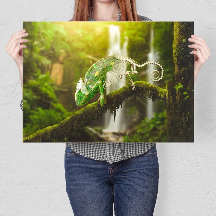 Plakat metalowy Kameleon Prezent