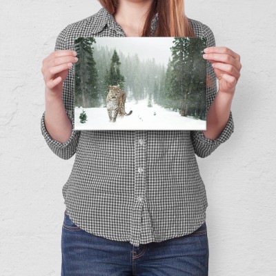 Poster metal Dziki kot w śniegu gift