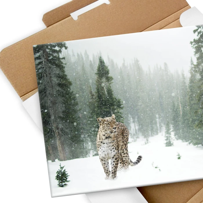 Poster metal Dziki kot w śniegu gift