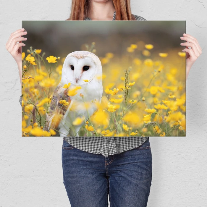 Poster metal Sowa wśród kwiatów gift