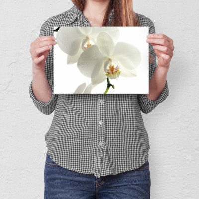 Plakat metalowy Storczyk Orchidea Prezent
