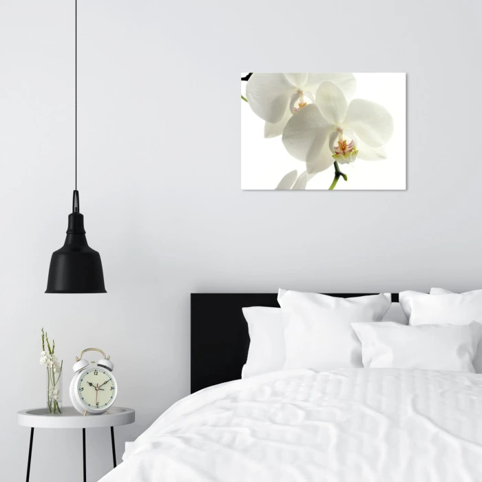 Plakat metalowy Storczyk Orchidea Prezent