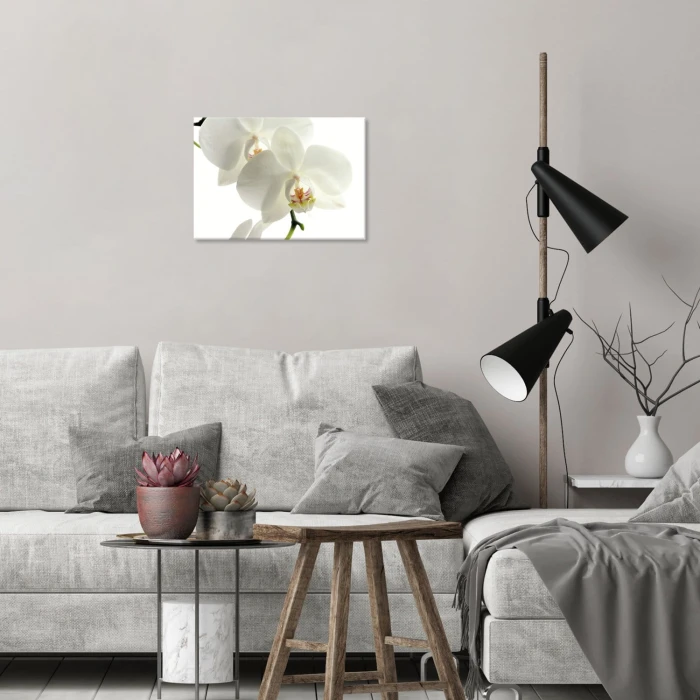 Plakat metalowy Storczyk Orchidea Prezent