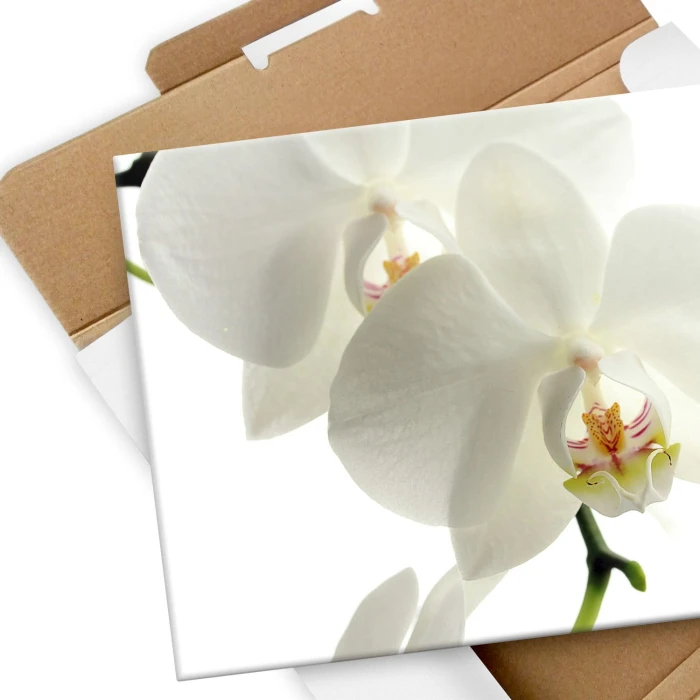Plakat metalowy Storczyk Orchidea Prezent