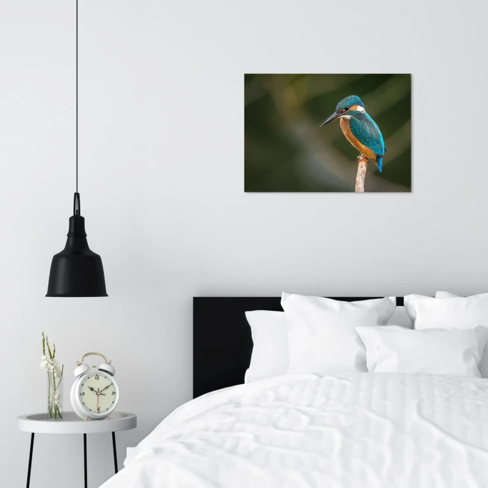 Plakat metalowy Piękny barwny ptak Prezent