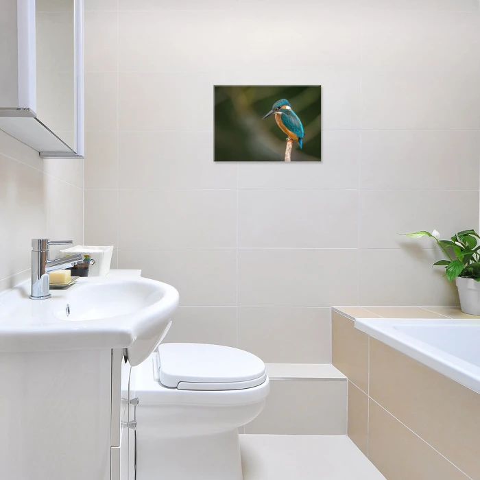 Plakat metalowy Piękny barwny ptak Prezent