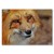 Poster metal Spojrzenie lisa gift