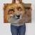 Poster metal Spojrzenie lisa gift