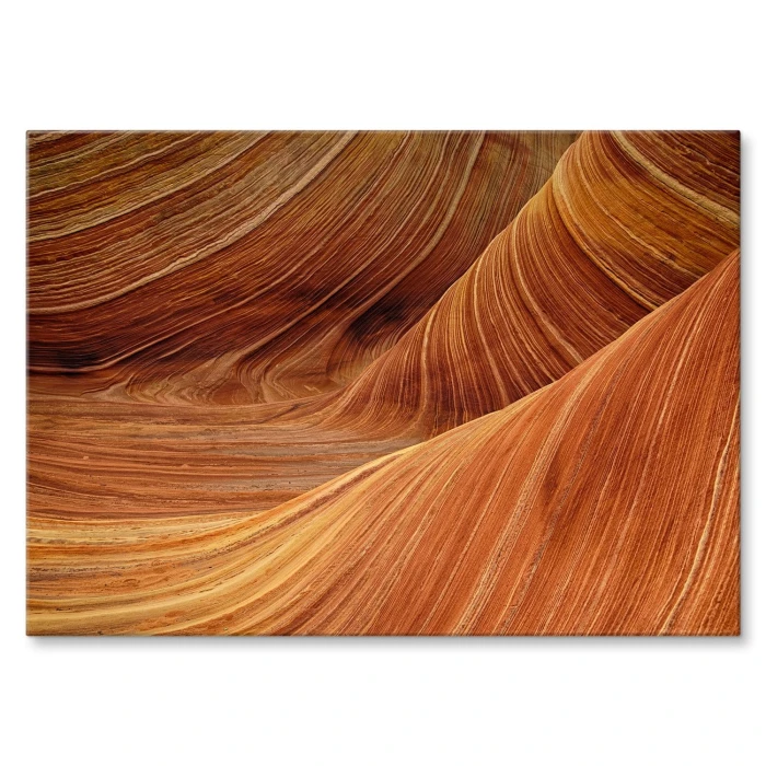 Poster metal Abstrakcyjna natura gift