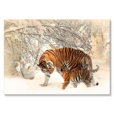Poster metal Tygrysy w śniegu gift