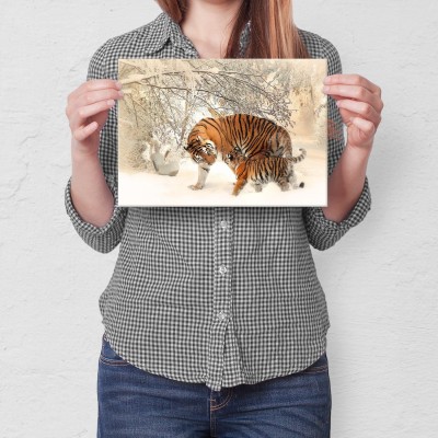 Poster metal Tygrysy w śniegu gift