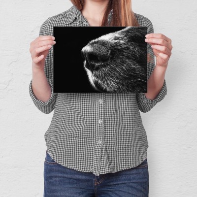 Plakat metalowy Psi nos Prezent