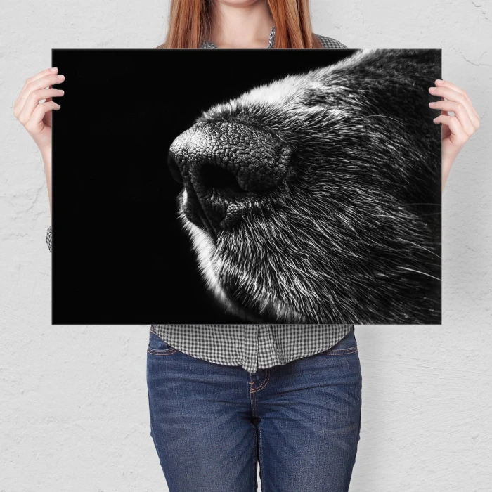 Plakat metalowy Psi nos Prezent