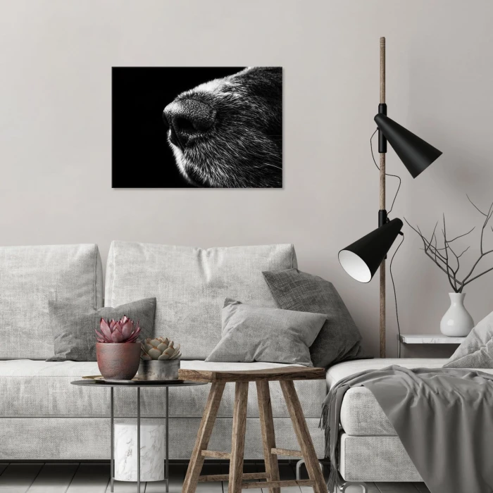 Plakat metalowy Psi nos Prezent