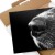 Plakat metalowy Psi nos Prezent