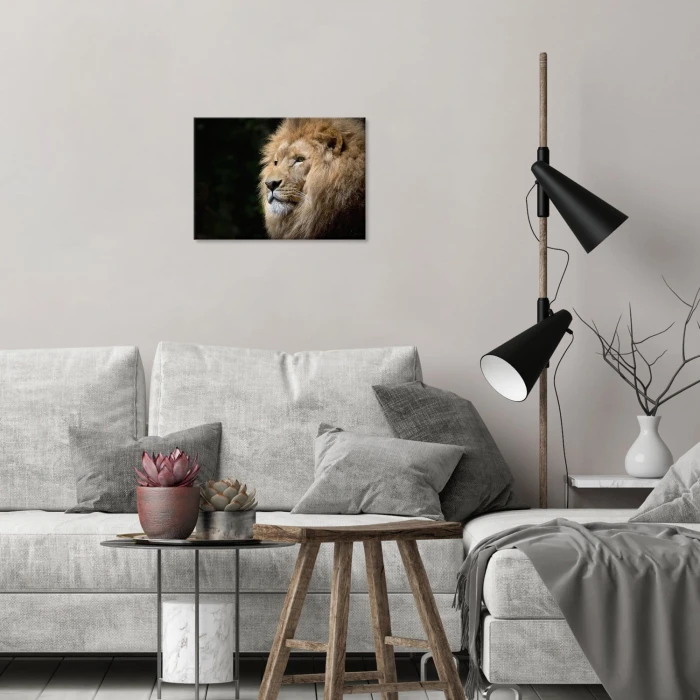 Plakat metalowy Król lew Prezent