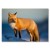 Poster metal Pan lisek gift