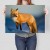 Poster metal Pan lisek gift