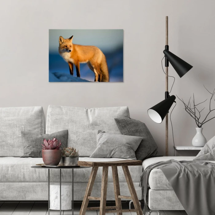 Poster metal Pan lisek gift