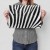 Poster metal Zebra w paski gift