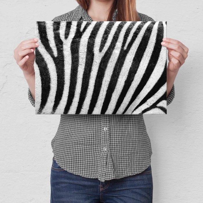 Poster metal Zebra w paski gift