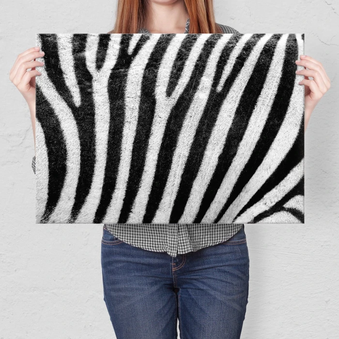 Poster metal Zebra w paski gift